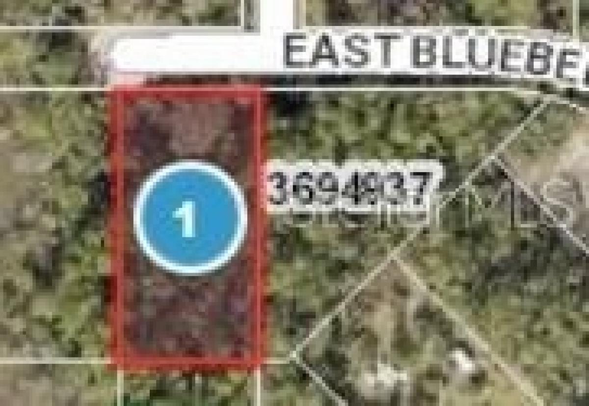 Picture of Residential Land For Sale in Eustis, Florida, United States