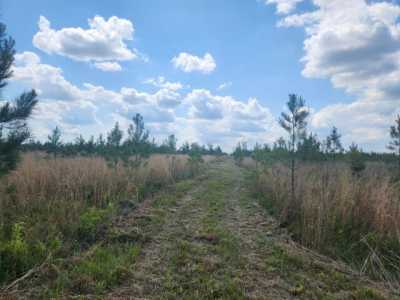 Residential Land For Sale in Blountstown, Florida