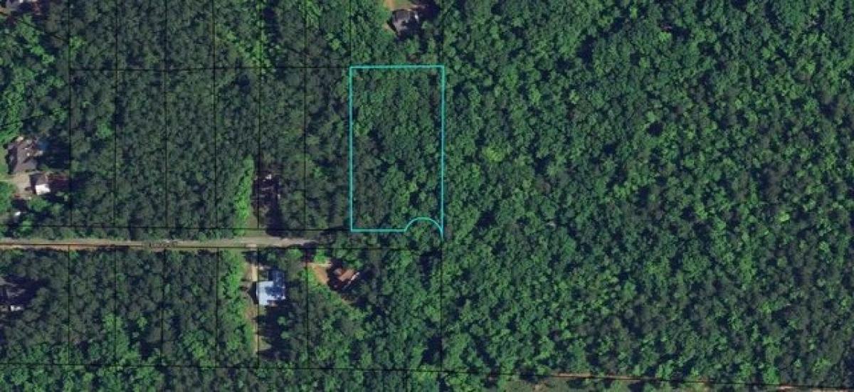 Picture of Residential Land For Sale in Waverly Hall, Georgia, United States