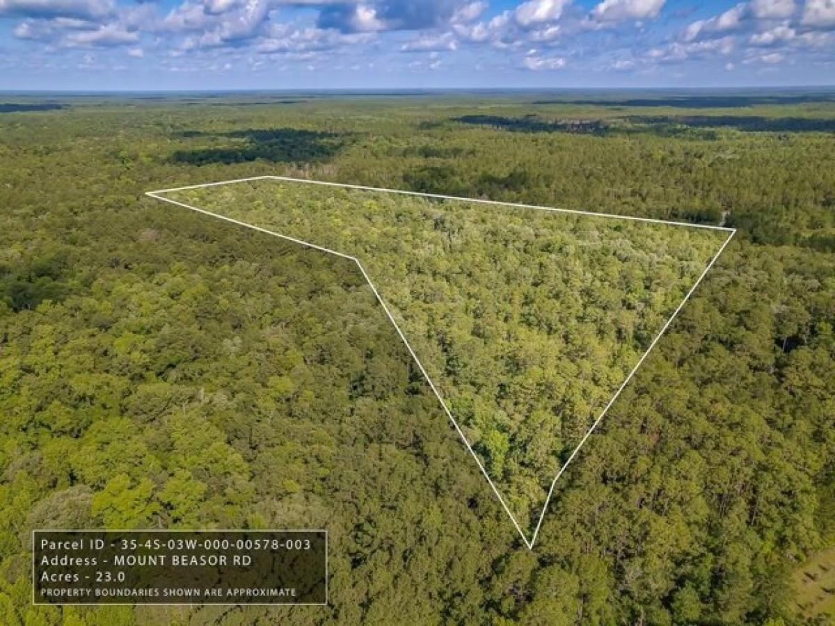 Picture of Residential Land For Sale in Sopchoppy, Florida, United States