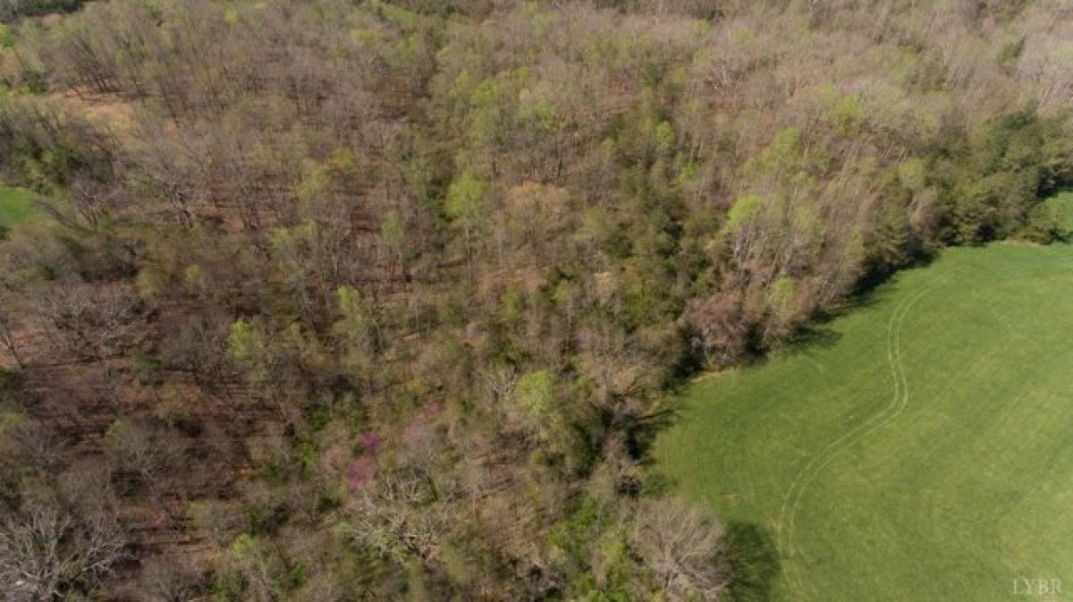 Picture of Residential Land For Sale in Monroe, Virginia, United States