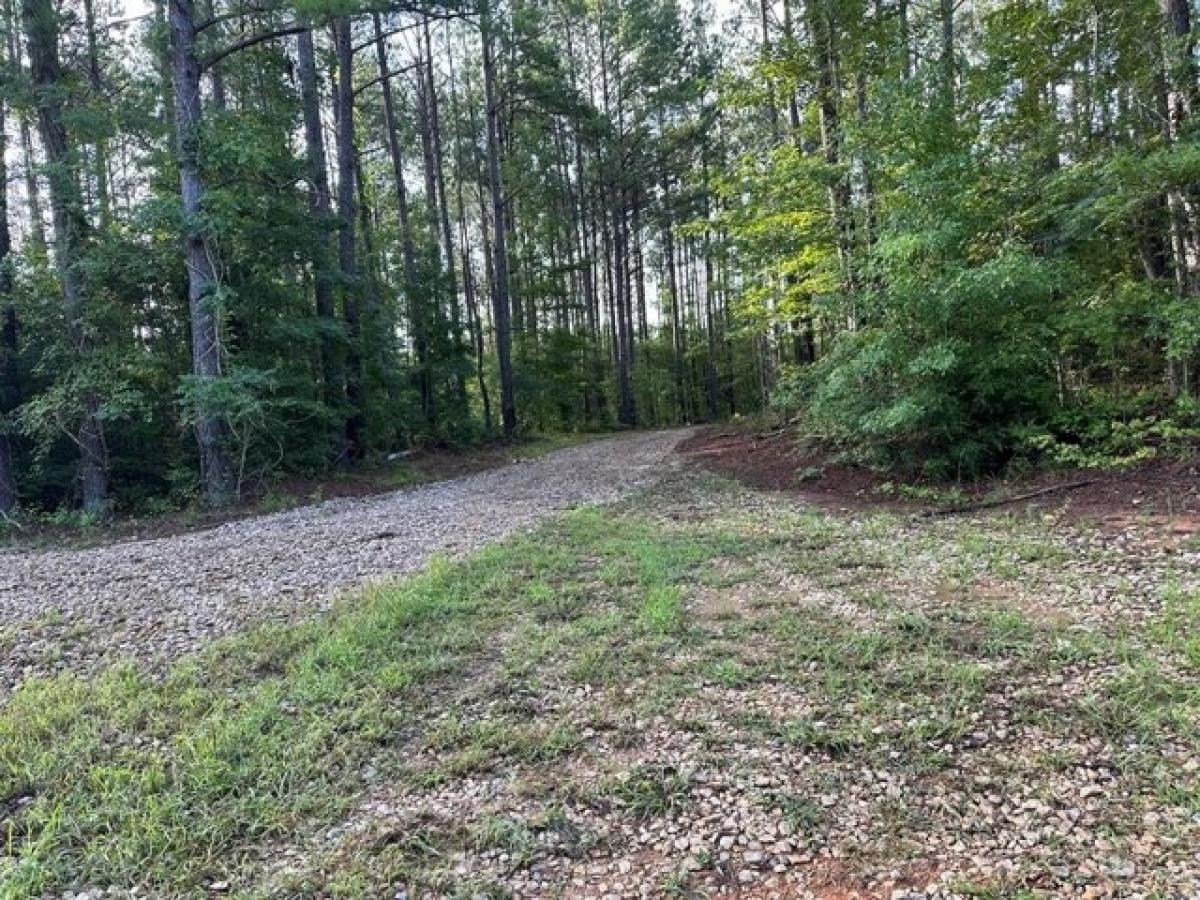 Picture of Residential Land For Sale in Troy, Alabama, United States