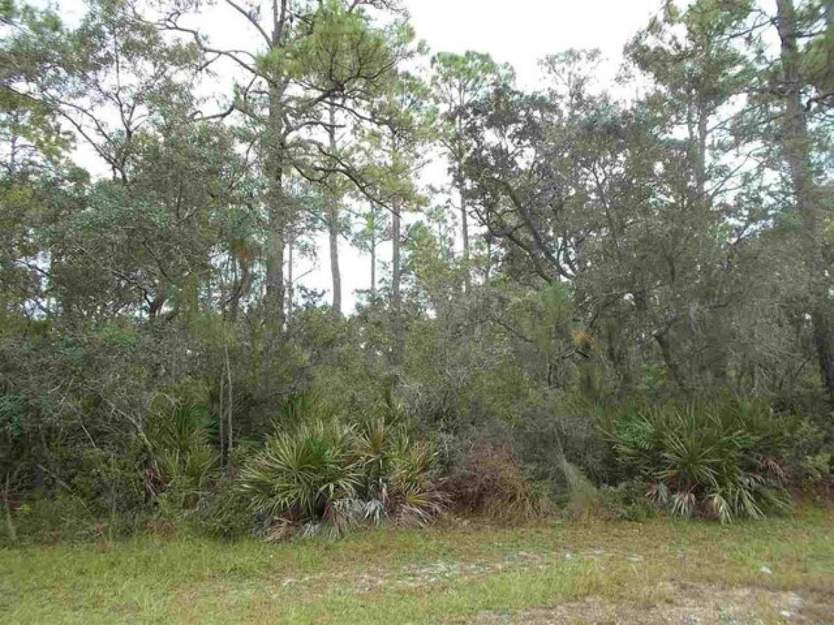 Picture of Residential Land For Sale in Panacea, Florida, United States