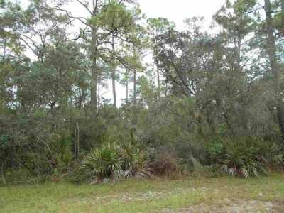 Residential Land For Sale in Panacea, Florida