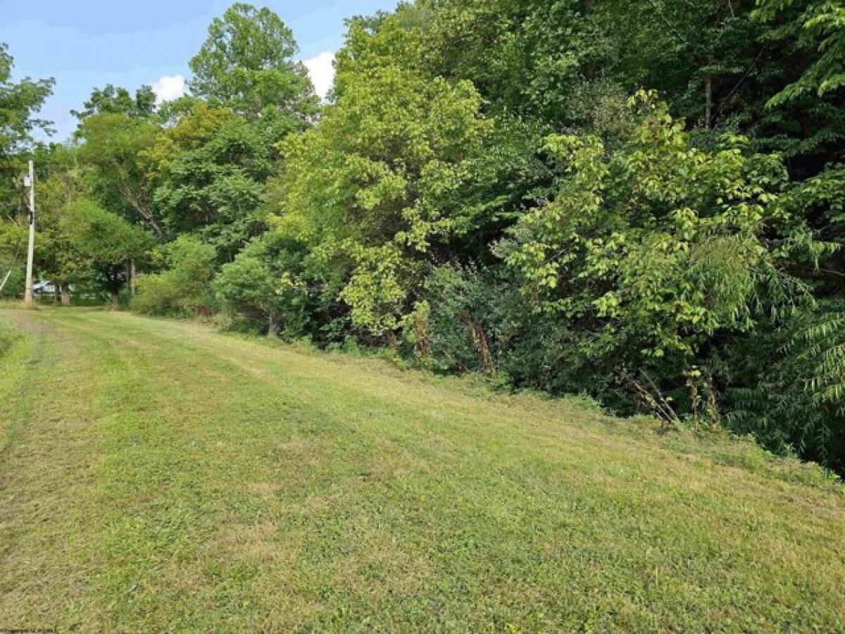 Picture of Residential Land For Sale in Weston, West Virginia, United States