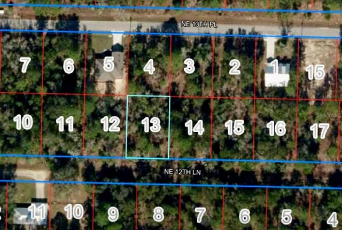 Picture of Residential Land For Sale in Williston, Florida, United States