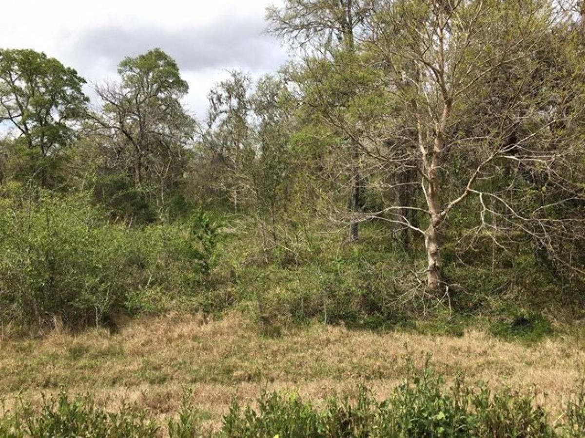 Picture of Residential Land For Sale in Sweeny, Texas, United States