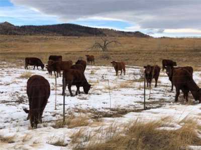 Residential Land For Sale in Longmont, Colorado