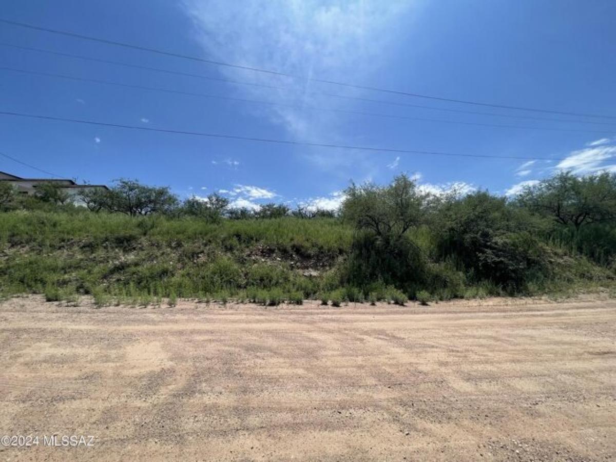 Picture of Residential Land For Sale in Rio Rico, Arizona, United States