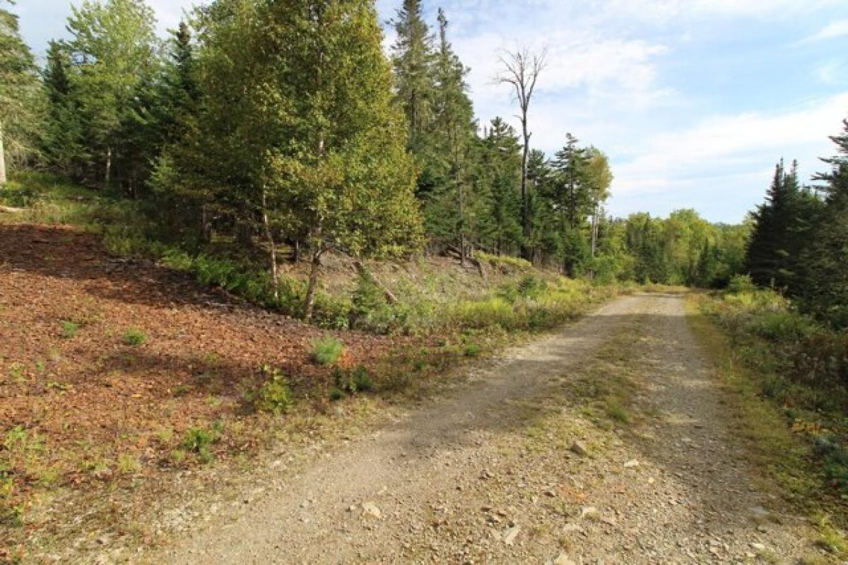 Picture of Residential Land For Sale in Rangeley, Maine, United States