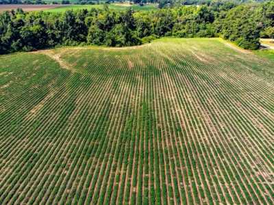 Residential Land For Sale in Ashford, Alabama