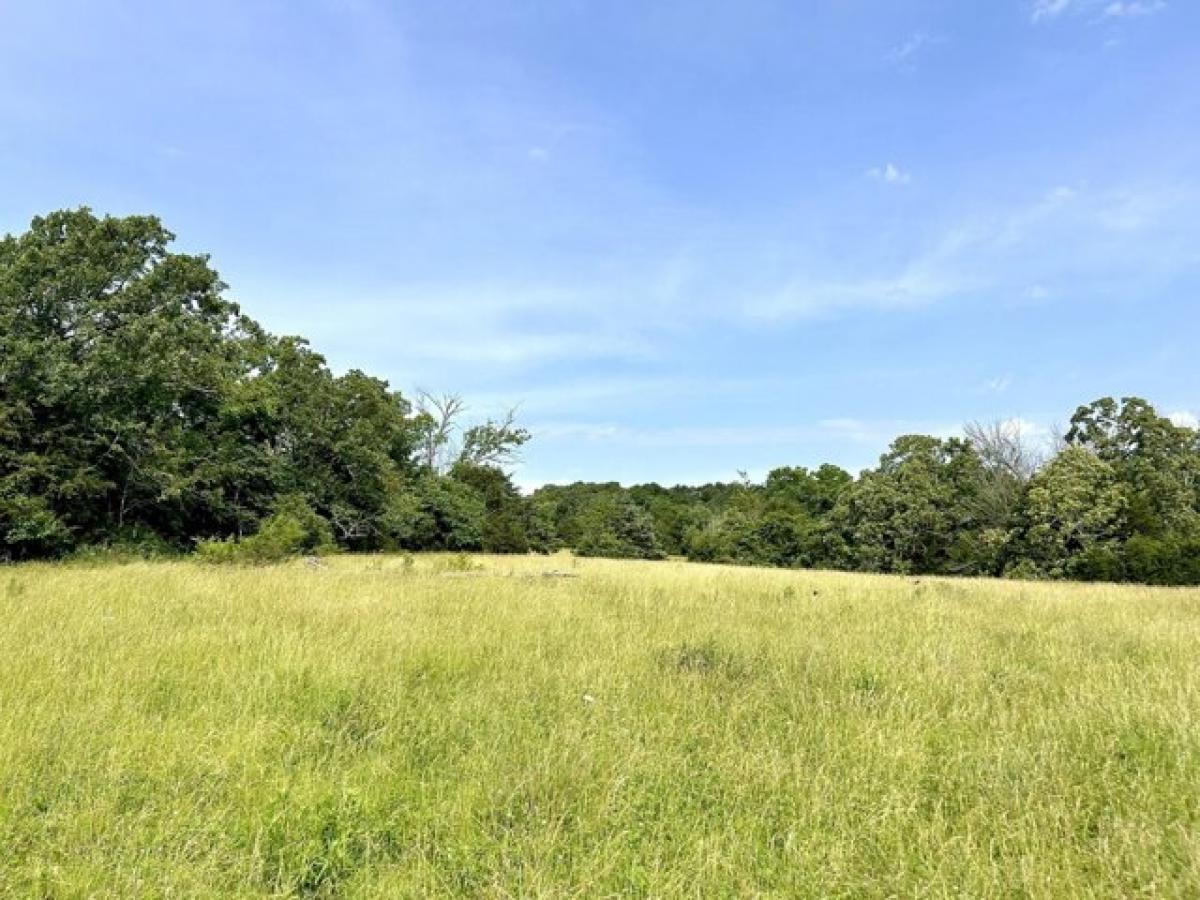 Picture of Residential Land For Sale in Grovespring, Missouri, United States