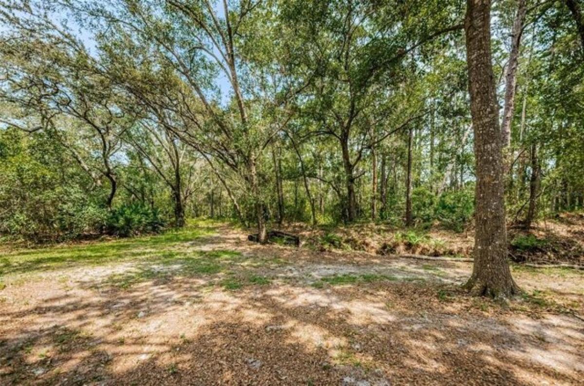 Picture of Residential Land For Sale in Odessa, Florida, United States