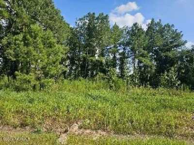 Residential Land For Sale in Vanceboro, North Carolina