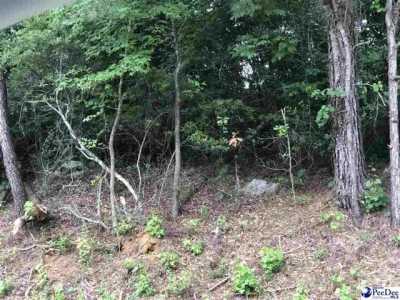 Residential Land For Sale in Florence, South Carolina