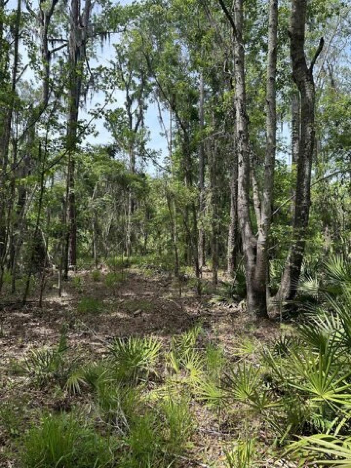 Picture of Residential Land For Sale in Jasper, Florida, United States