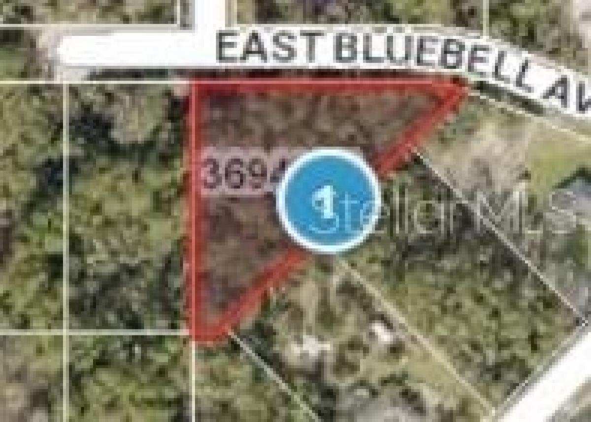 Picture of Residential Land For Sale in Eustis, Florida, United States