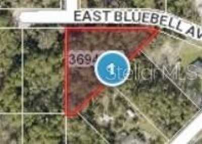 Residential Land For Sale in Eustis, Florida