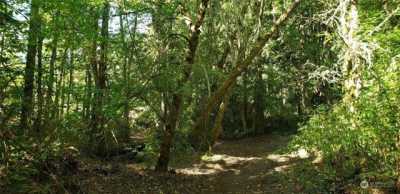 Residential Land For Sale in Eatonville, Washington