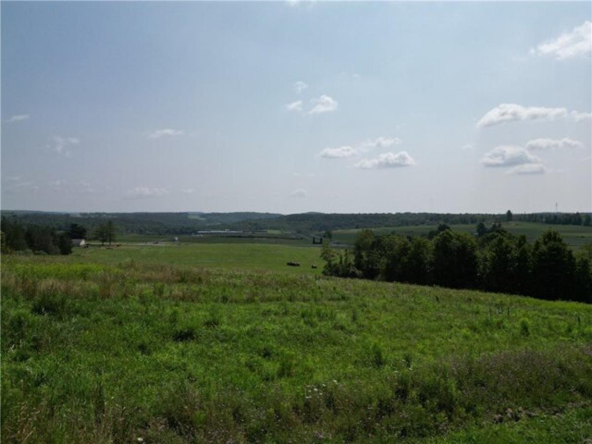 Picture of Home For Sale in Woodhull, New York, United States