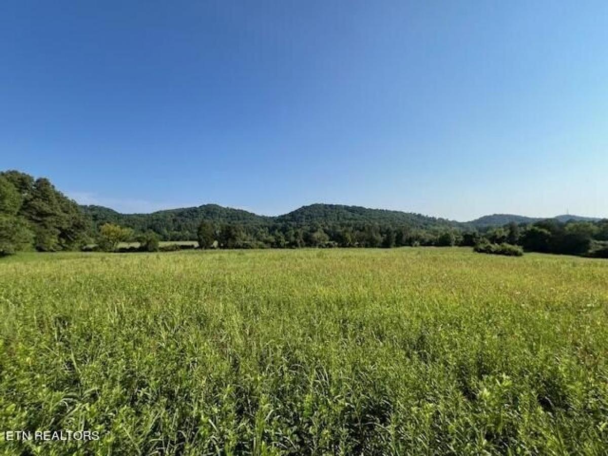 Picture of Residential Land For Sale in Knoxville, Tennessee, United States