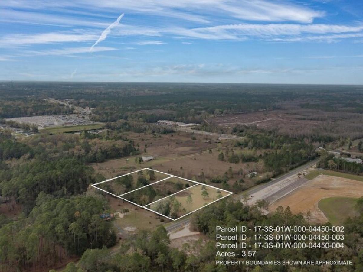 Picture of Residential Land For Sale in Crawfordville, Florida, United States