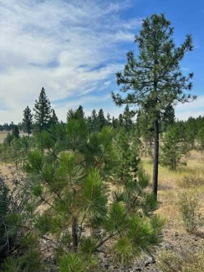 Residential Land For Sale in Spokane, Washington