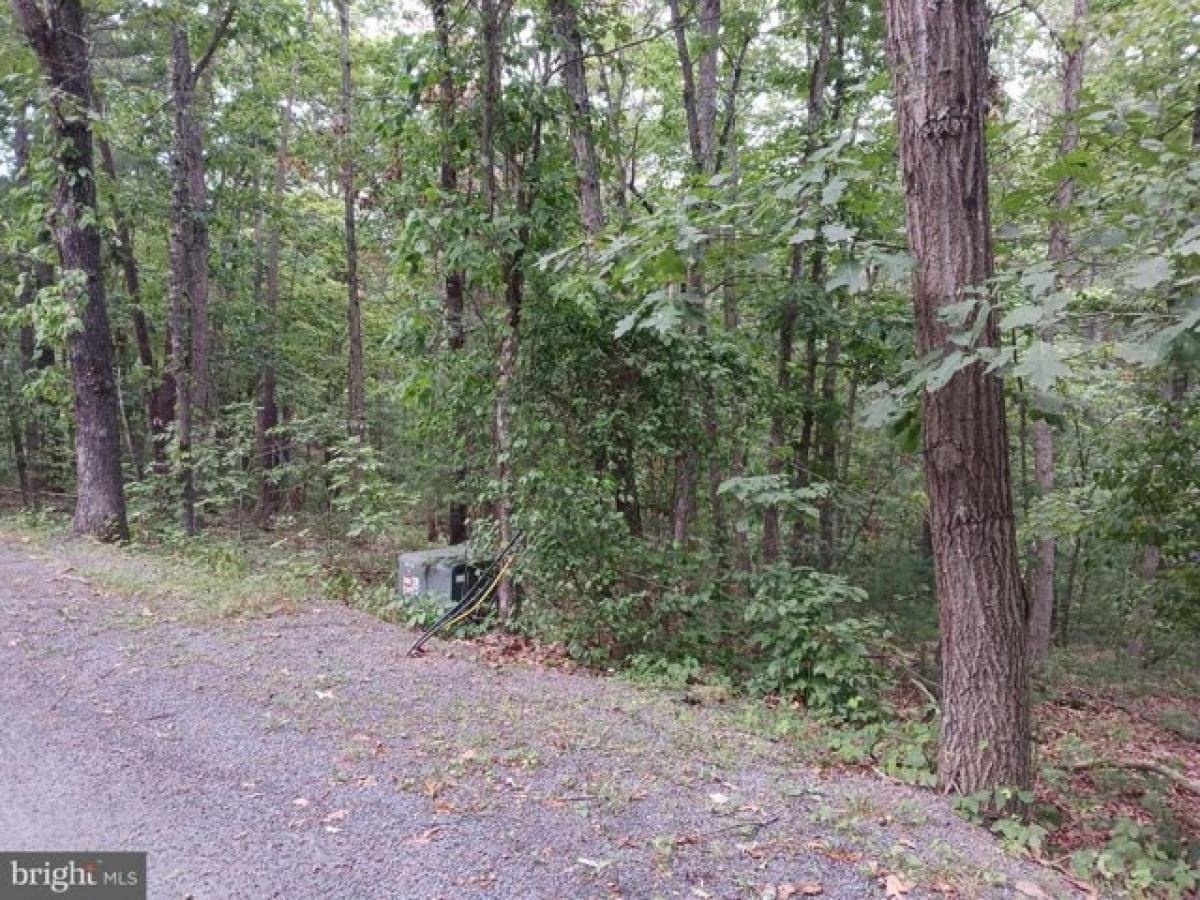 Picture of Residential Land For Sale in Mount Jackson, Virginia, United States