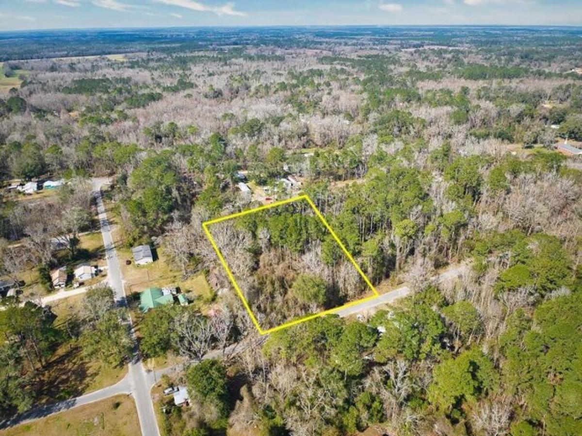 Picture of Residential Land For Sale in Greenville, Florida, United States