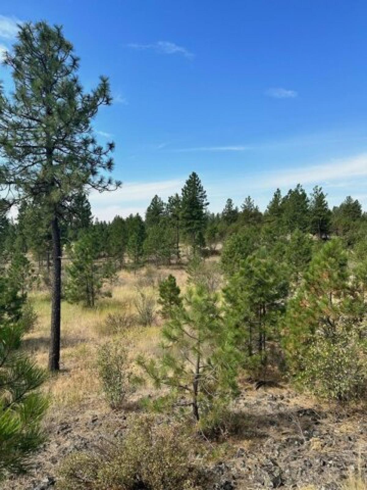 Picture of Residential Land For Sale in Spokane, Washington, United States