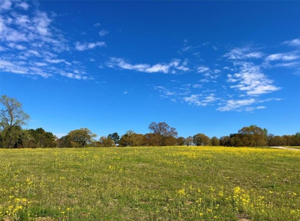 Picture of Residential Land For Sale in Big Sandy, Texas, United States