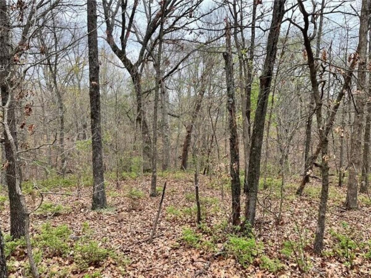 Picture of Residential Land For Rent in Bella Vista, Arkansas, United States