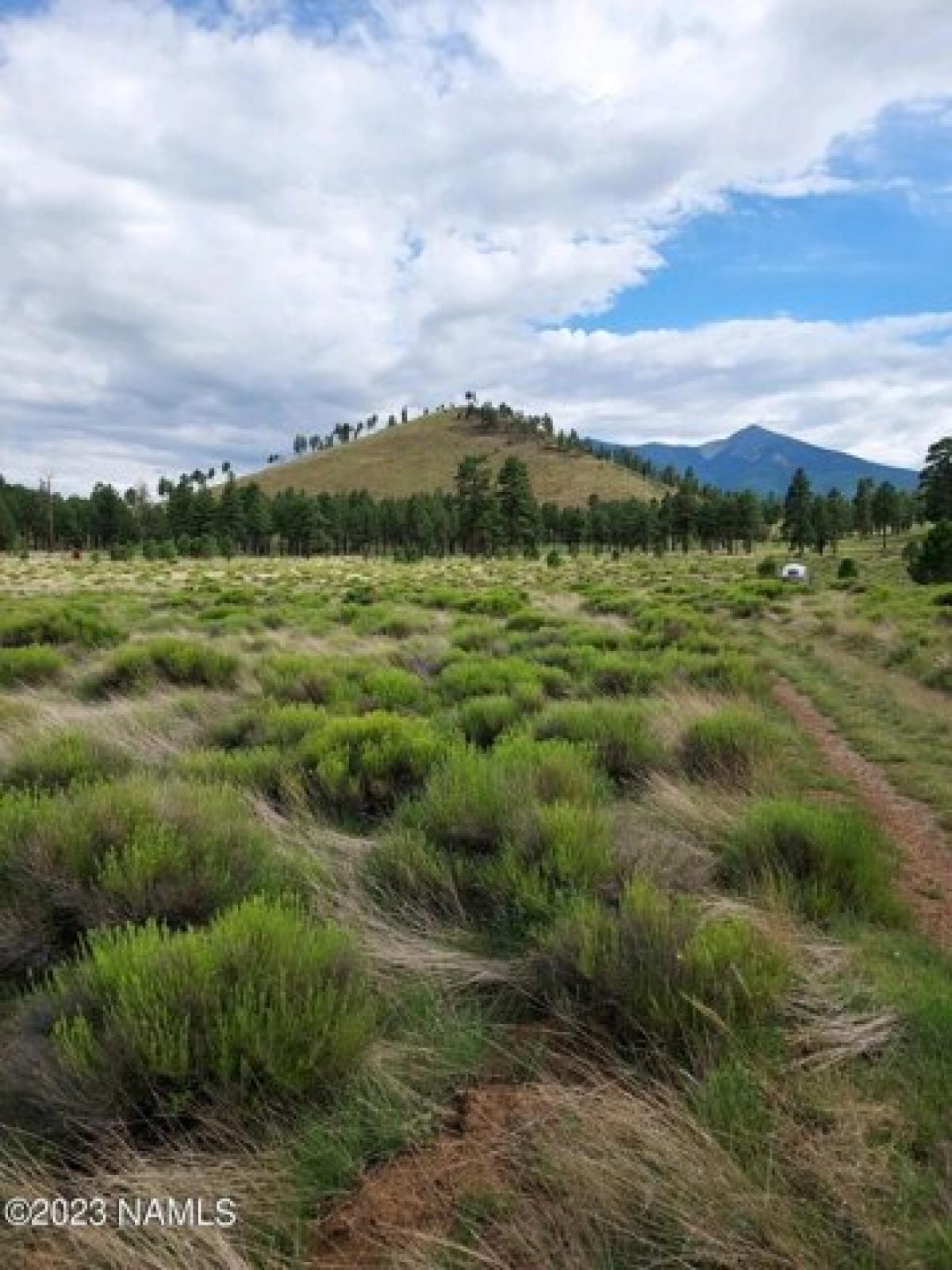 Picture of Residential Land For Sale in Flagstaff, Arizona, United States