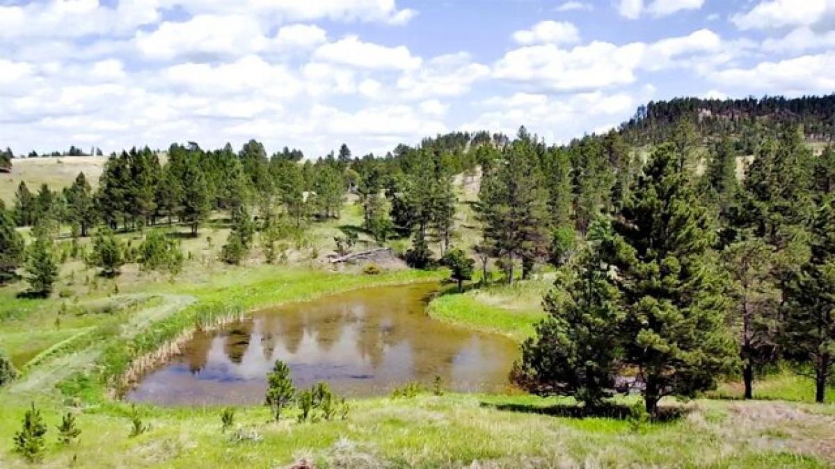 Picture of Residential Land For Sale in Hulett, Wyoming, United States