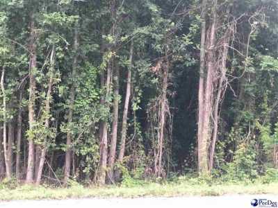 Residential Land For Sale in 