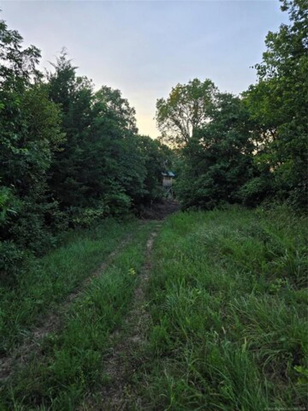 Picture of Residential Land For Sale in Pawnee, Oklahoma, United States