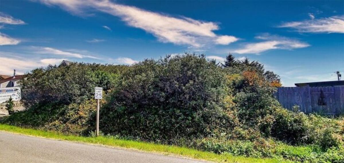 Picture of Residential Land For Sale in Ocean Shores, Washington, United States