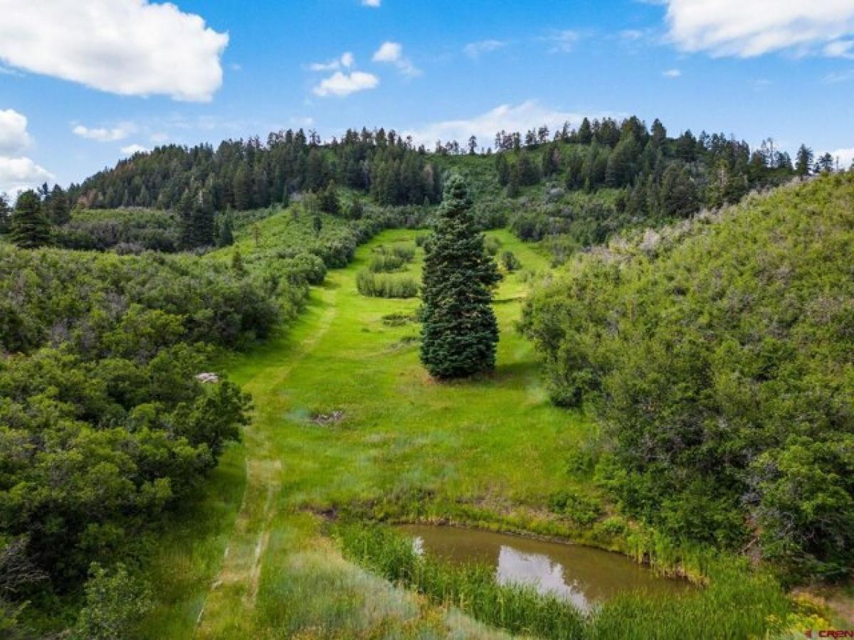 Picture of Residential Land For Sale in Durango, Colorado, United States