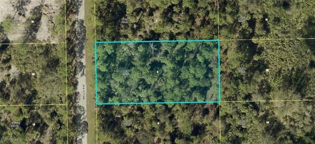 Picture of Residential Land For Sale in Alva, Florida, United States