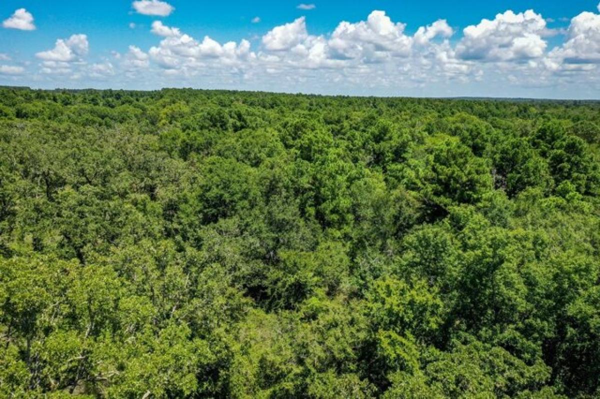 Picture of Residential Land For Sale in Lovelady, Texas, United States