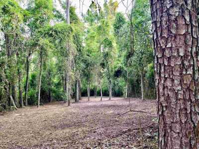 Residential Land For Sale in Monticello, Florida