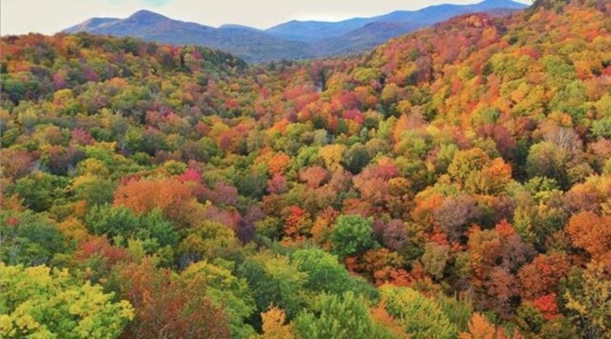 Picture of Residential Land For Sale in Chittenden, Vermont, United States