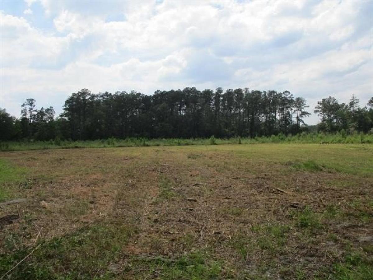 Picture of Residential Land For Sale in Monticello, Florida, United States