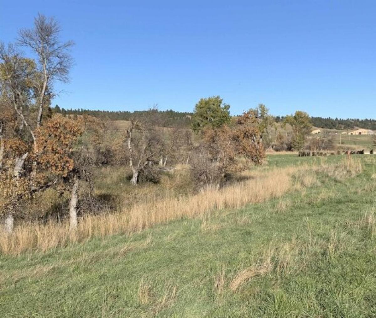 Picture of Residential Land For Sale in Hulett, Wyoming, United States