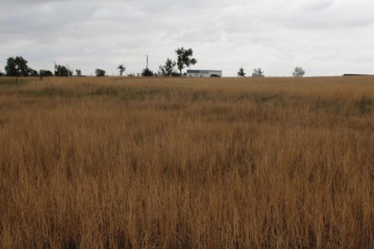 Picture of Residential Land For Sale in Newell, South Dakota, United States