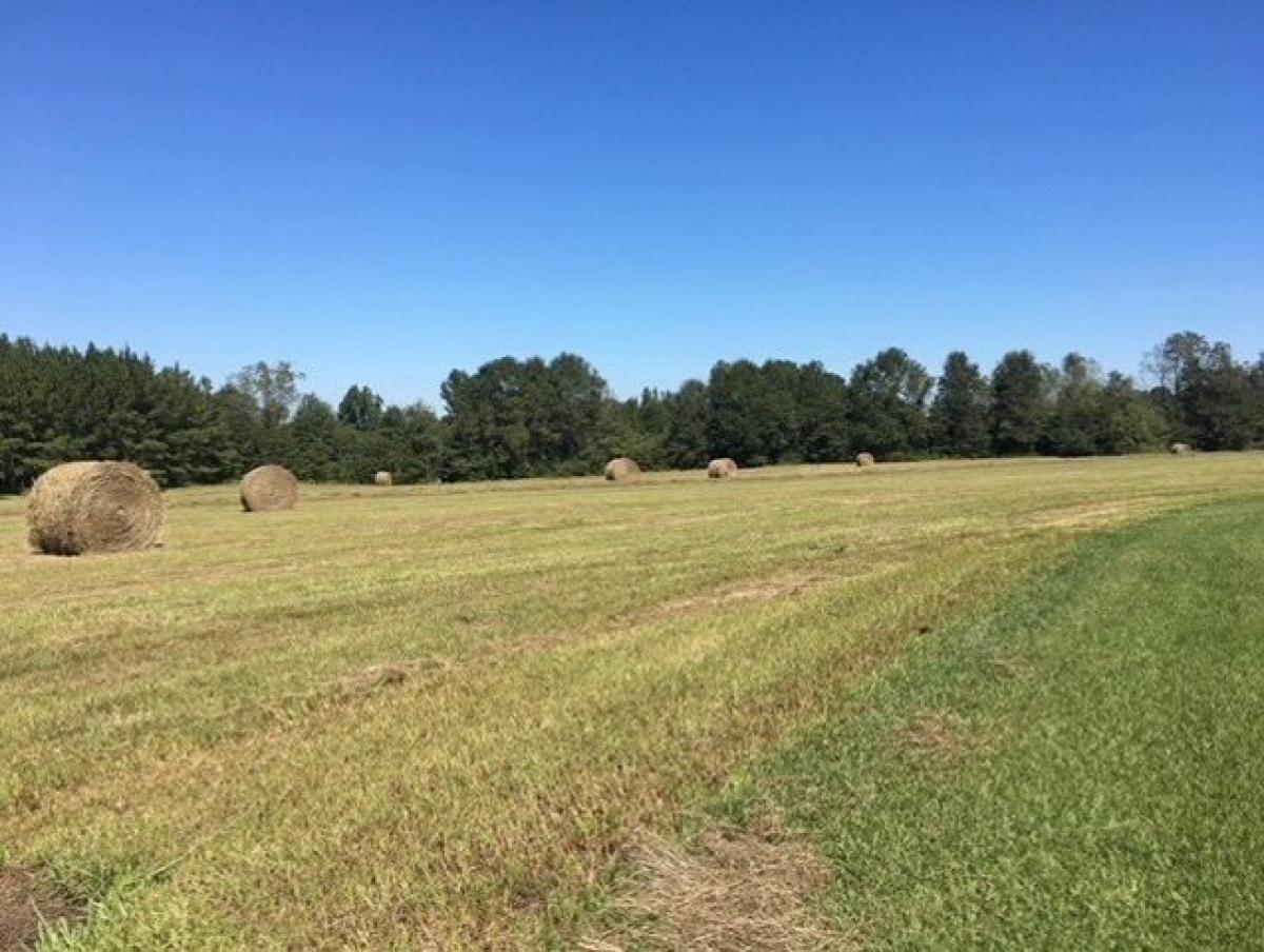 Picture of Home For Sale in Tylertown, Mississippi, United States