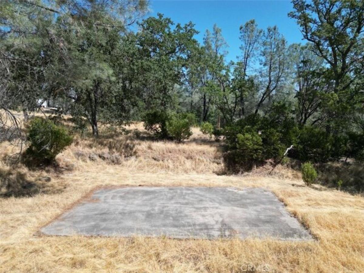 Picture of Residential Land For Sale in Corning, California, United States