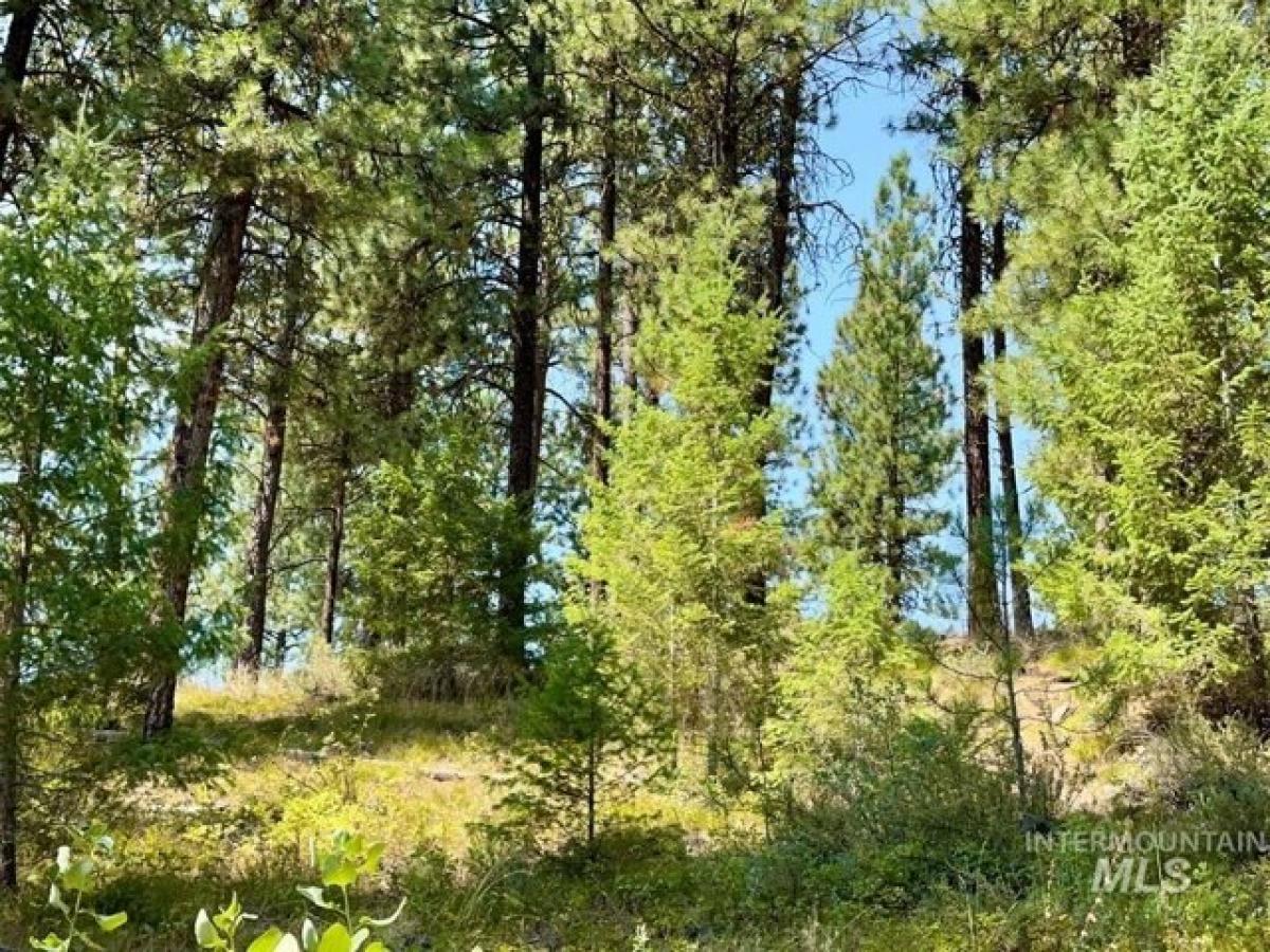 Picture of Residential Land For Sale in Cascade, Idaho, United States