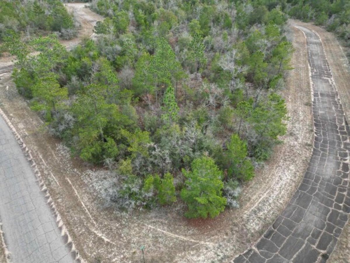 Picture of Residential Land For Sale in Chipley, Florida, United States