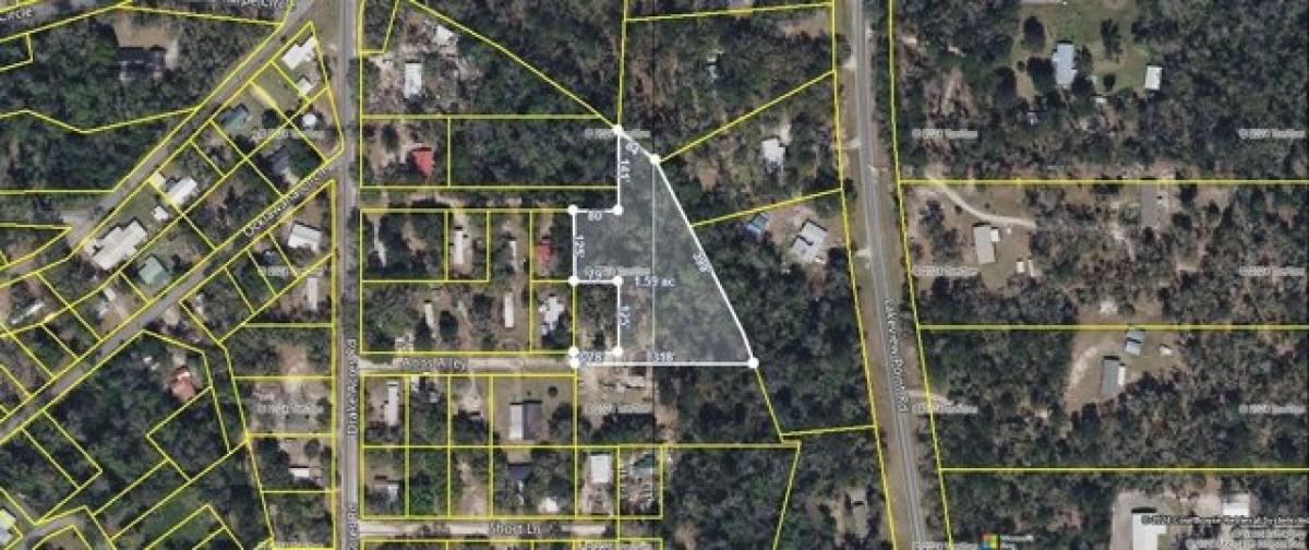 Picture of Residential Land For Sale in Quincy, Florida, United States